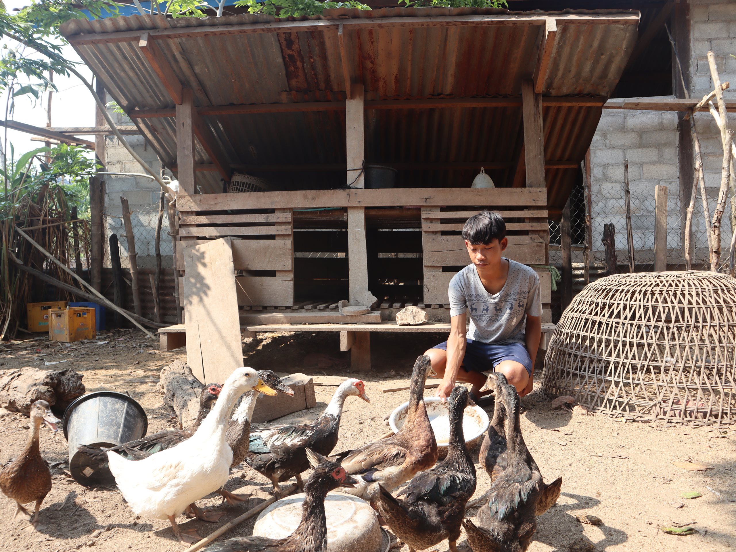 Manh, 16 year old boy, feeds his ducks.