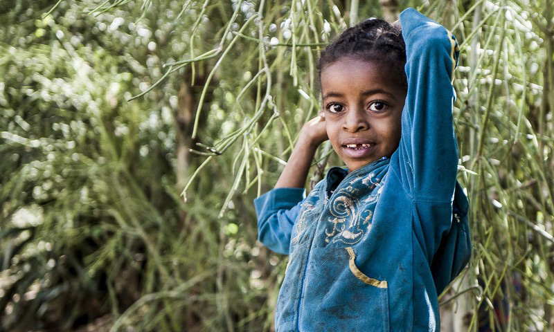 A child in Ethiopia smiles while standing in a forest of green.