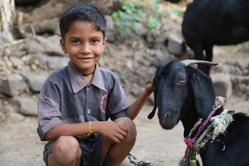 A small boy in India crouches beside a black goat, smiling while he strokes the goat’s head. The goat looks toward us, wearing a pink rope collar and a bell.