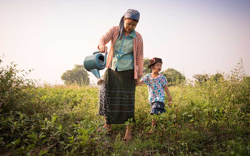 A barefoot woman wearing a kerchief waters crops, with her young daughter by her side.