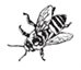 a black and white illustration of a bee