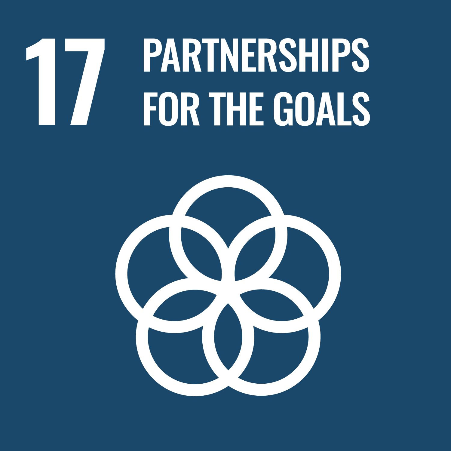 Sustainable Development Goal 17 logo: Partnerships for the goals
