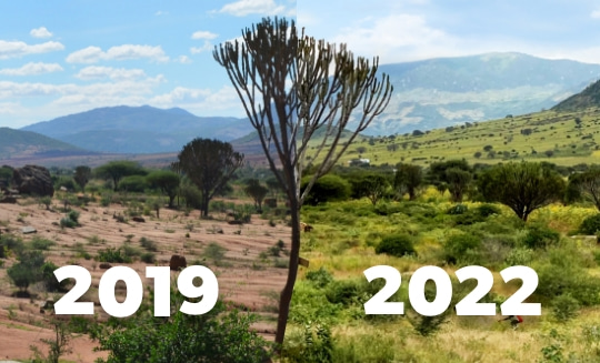 The impact of Farmer Managed Natural Regeneration in Tanzania between 2019 to 2022, facilitated by World Vision.