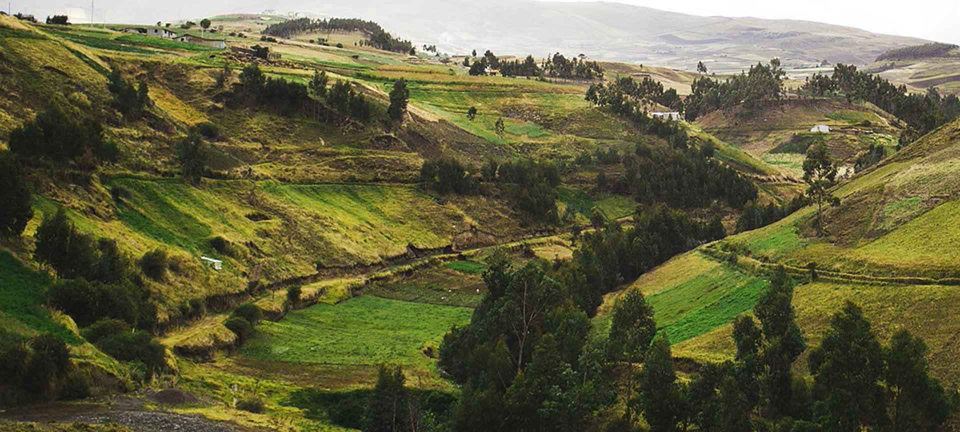 Landscape in Ecuador