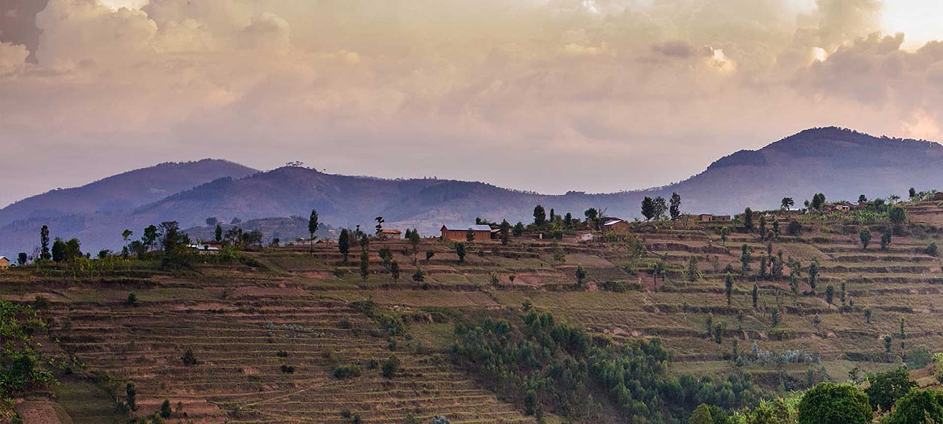Landscape in Rwanda