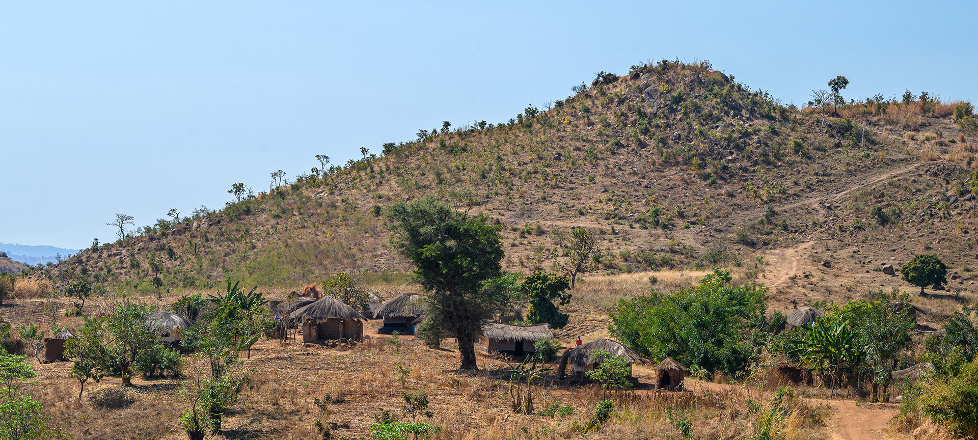 A hilltop rural area with a few trees and cabins made of straw. 