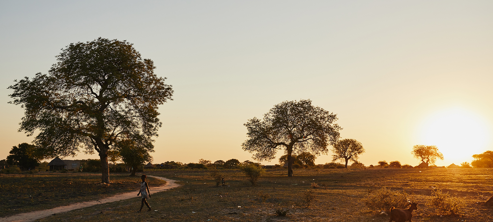 A person walking along a dirt road as the sun sets in a rural area. 