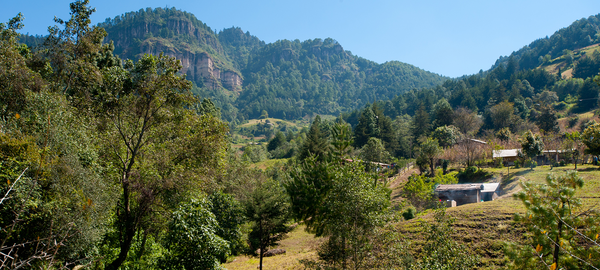 Green forest and hills surrounding a few small homes. In the background are mountains and bright blue skies. 