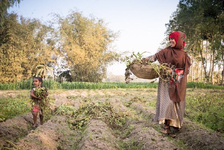 Adjmira with her daughter harvesting nutritious greens for her family