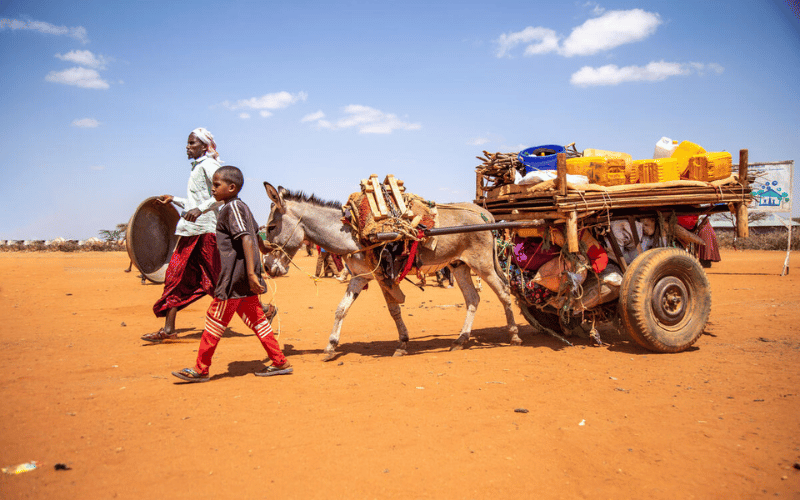 A mother and her son walk beside a donkey pulling a cart of their belongings.