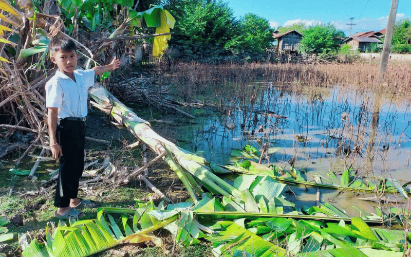 Nice, a Laotian boy, gestures towards a flooded field beside a knocked down palm tree.