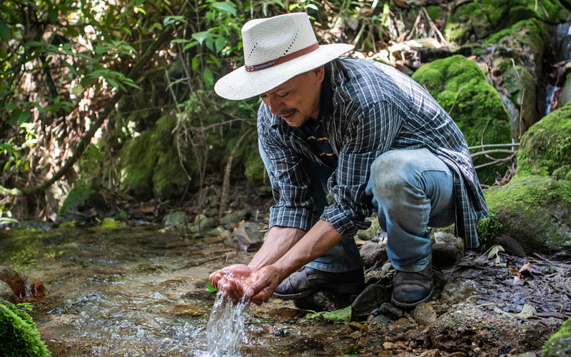 A man is in a forest collecting water with his hands from a stream.