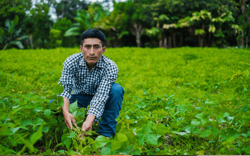 Farmer in a field in Honduras experiencing food insecurity.