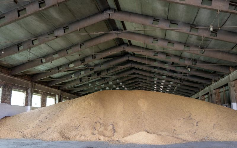 A barn is filled with a giant pile of soya beans.