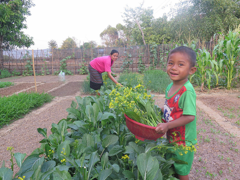 A young boy smiles and holds a bowl with greens from the garden. His mother is picking producer from the produce bed behind him.