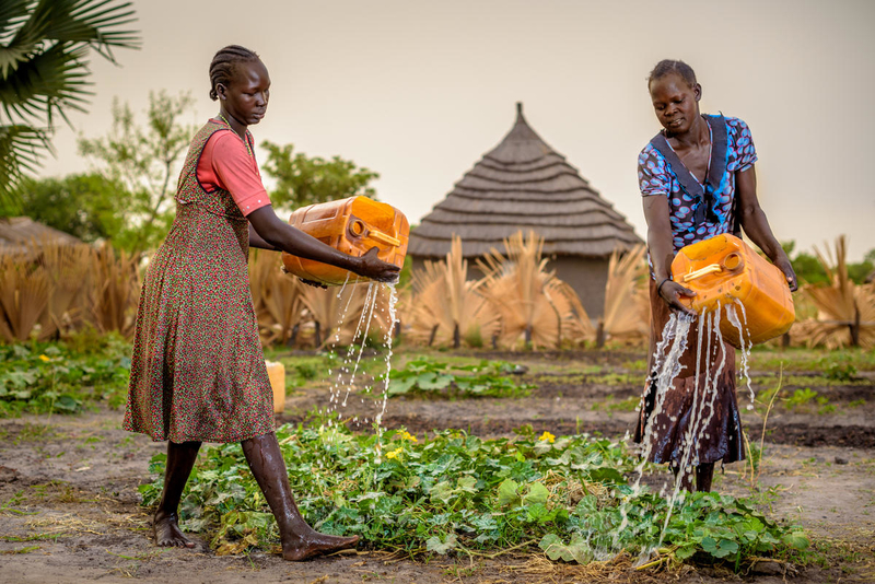 Two women water their crops in a village in Africa.