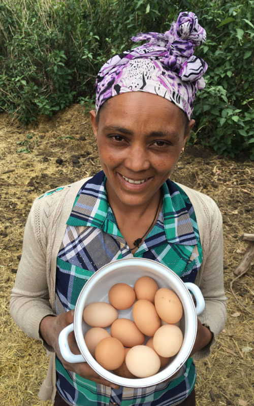 An Ethiopian woman holds a pot full of fresh eggs.