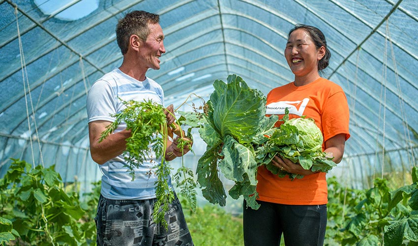 A man and a woman in a World Vision shirt stand in a greenhouse smiling holding green produce