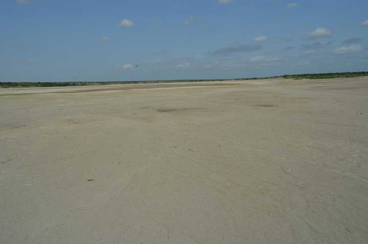 A broad expanse of sandy desert with a little green on the distant horizon.