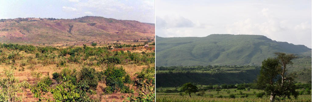 Two photos joined show the same piece of land about a decade apart. On the left, the landscape is mostly brown and dry. On the right, the landscape is covered with lush vegetation.