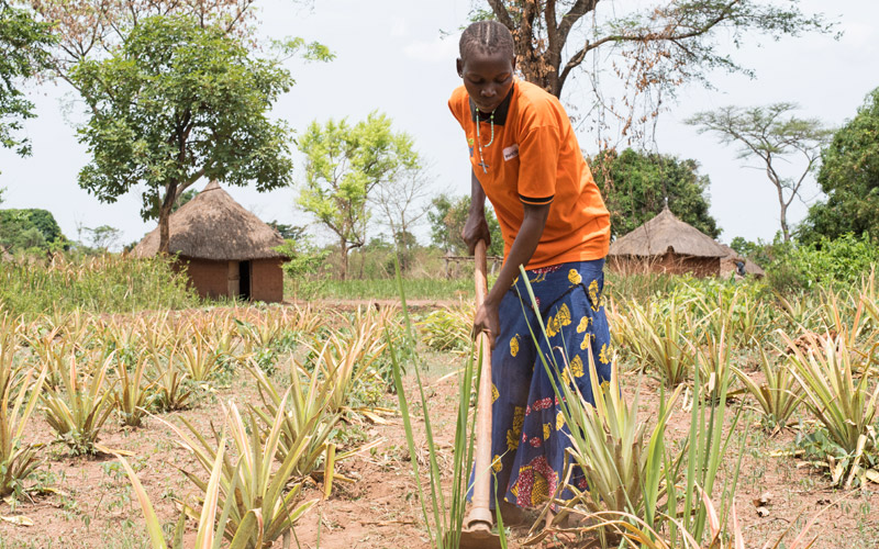 Anuie Rose Wilson works in her pineapple fields. Through FEED, the 26 year-old mother of 5 received the tools and training she needed to increase her yields, despite a changing climate. Now her children are in school, and child marriage and gender based violence is significantly reduced in her community. 