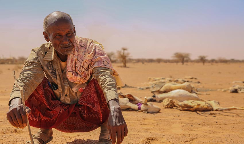 A man crouches near the carcass of his livestock, that starved to death in Somalia.