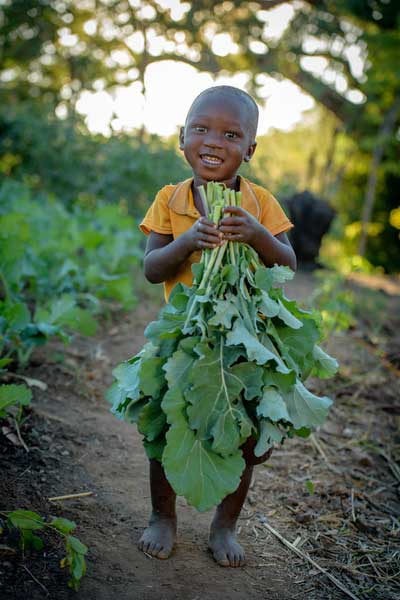 Smiling two-year-old holds green crops in his hands, harvested from his family’s garden in Zambia.