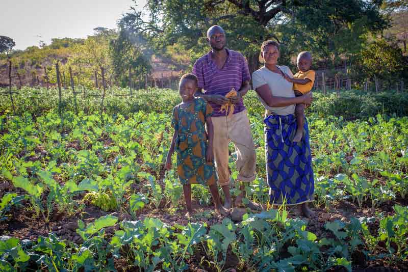 A family of two adults and two children stand in their lush garden in Zambia.
