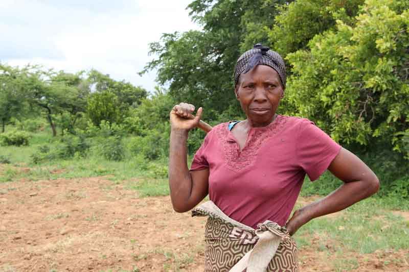 A woman in a red shirt holds a gardening tool over her shoulder, standing on her plot of land in Zambia.