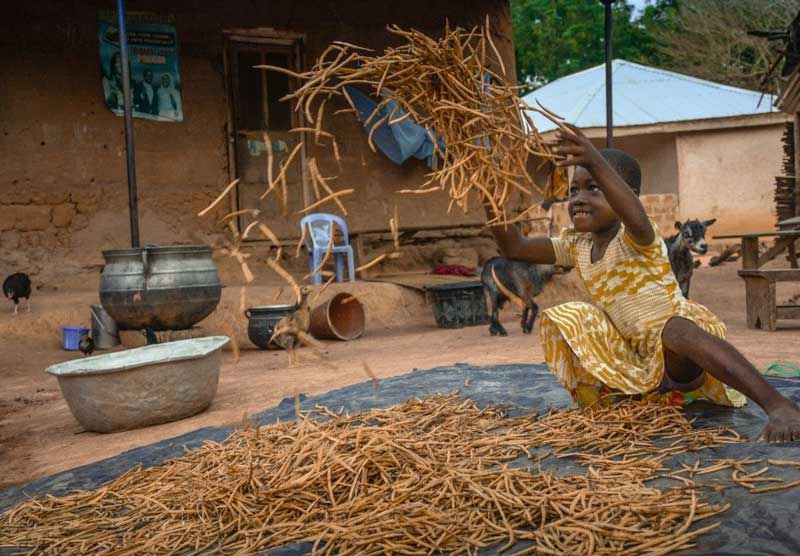A girl in a patterned dress tosses a handful of cowpeas into the air outside her family’s kitchen.