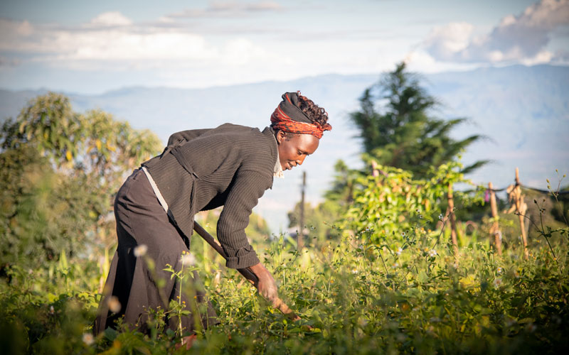 A woman does work in a field, bending over with her gardening tool.