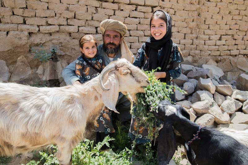 A girl with a headscarf smiles broadly toward the camera, as she holds a big bunch of grass for her goats to munch. Her father, sitting close-by with the toddler-aged sister, also smiles.