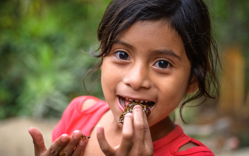 A young Honduran girl tastes fresh honey from the comb