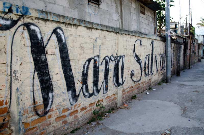 Elaborate graffiti on a brick wall reads “Mara Salvatrucha”.