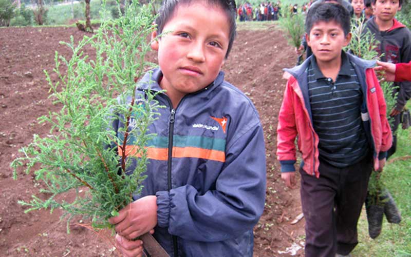 A long line of children in Guatemala walk alongside a ploughed field, carrying young trees to plant.
