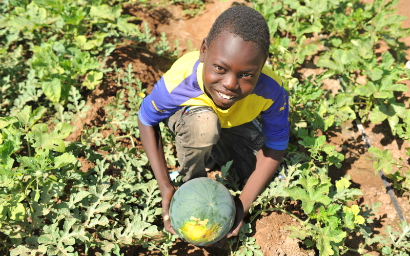 a boy smiles up at the camera. He holds a watermellow and is crouched in a field.