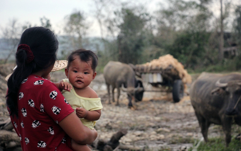 A woman holds a child in a rural setting with a grazing cow.
