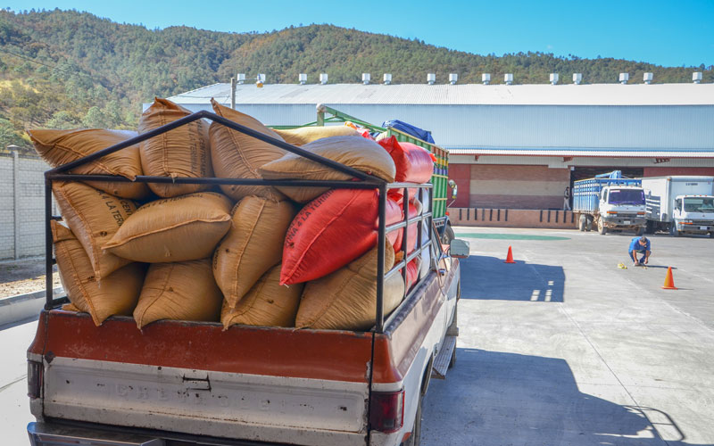 Sacks of coffee beans are delivered to a large regional warehouse on a red pickup truck