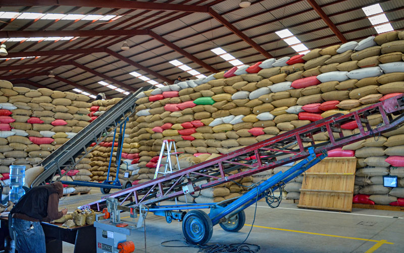 Stacks of coffee bean sacks piled high in a warehouse