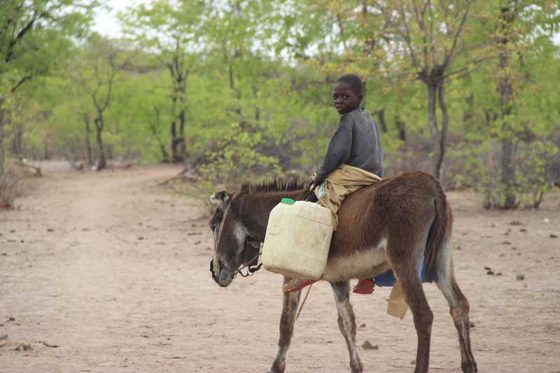 A teenage boy riding on a donkey carrying a plastic container.