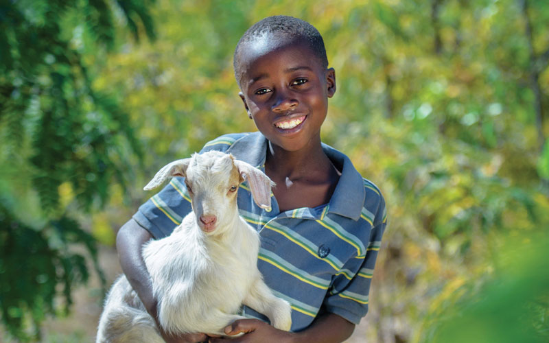A young Zambian boy smiles holding a young goat in his arms