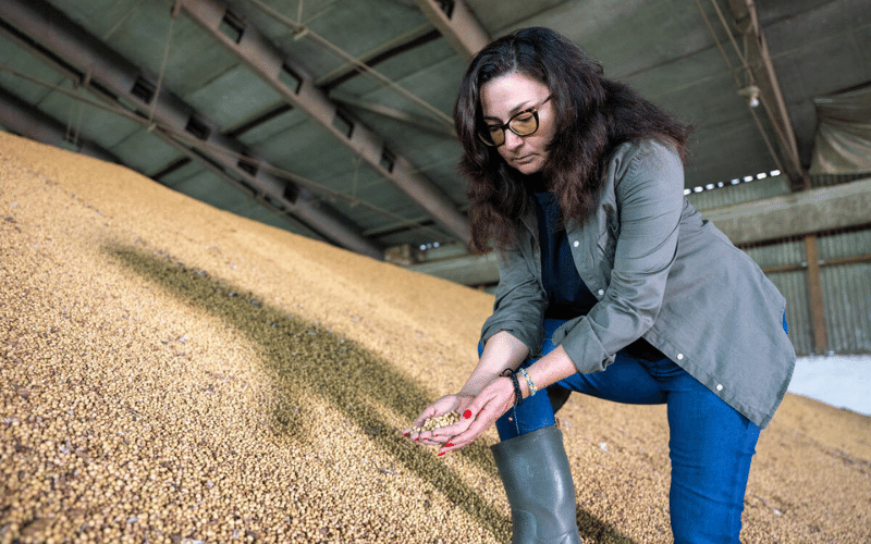 A farmer in Ukraine scoops up a handful of soya beans harvested in 2021.