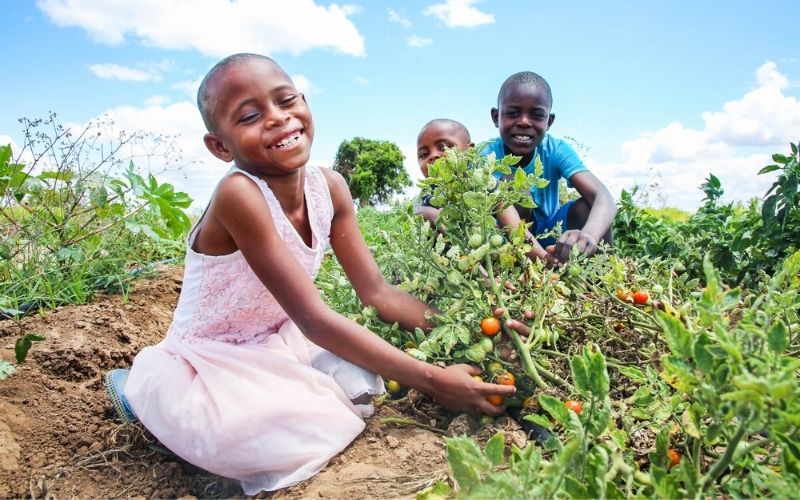 Three young children smile brightly as they tend to the vegetables in their lush green garden.