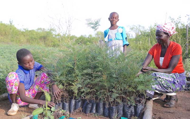 An African woman sits on a bench, tending small seedling trees, while her young daughter and son look on.