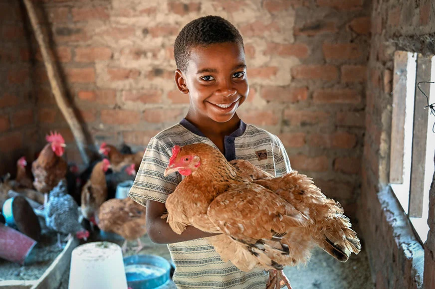 Emmanuel, 7, holding a chicken gently in his arms. His family’s chicken business, supported by World Vision, is thriving. Children learn about responsibility, empathy and kindness when they raise chickens.