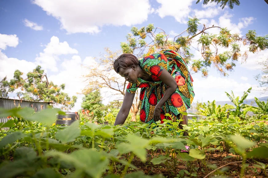 A woman works in her garden.