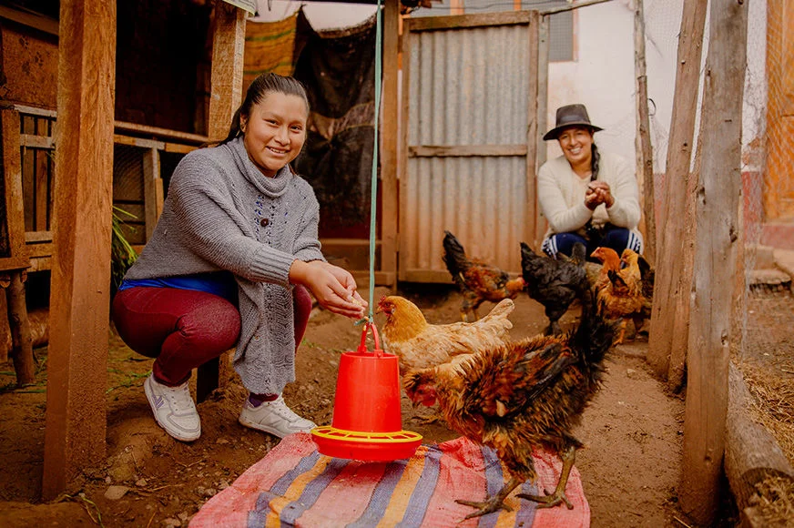 A mother and her teen daughter are in a hen house feeding the chickens.