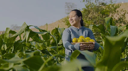 Woman smiles in a farm field, while holding a basket of oranges.