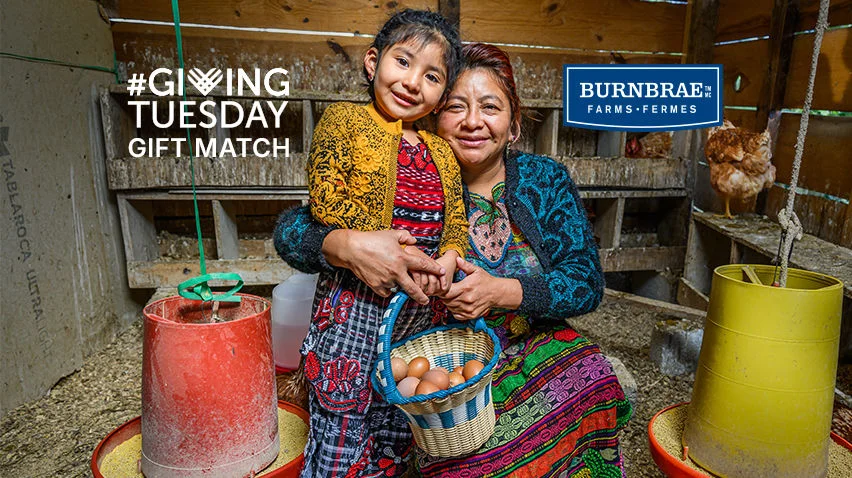A mother and her young daughter are in a chicken coop, collecting eggs in a basket.