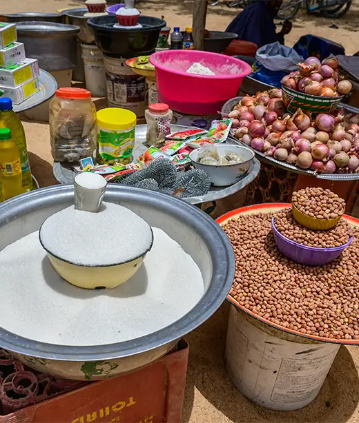 85 per cent of all funds goes towards supporting field programs and advocacy initiatives